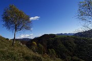 29 Verso Prato Giugno